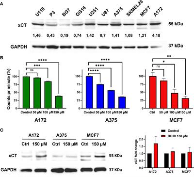 The Styryl Benzoic Acid Derivative DC10 Potentiates Radiotherapy by Targeting the xCT-Glutathione Axis